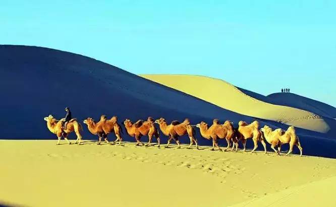 《天邊的駱駝》，震撼的沙漠風(fēng)景之美!