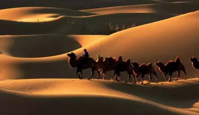 《天邊的駱駝》，震撼的沙漠風(fēng)景之美!