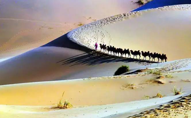 《天邊的駱駝》，震撼的沙漠風(fēng)景之美!
