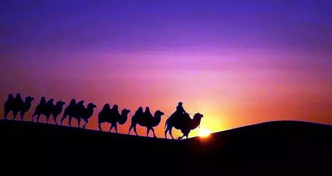 《天邊的駱駝》，震撼的沙漠風(fēng)景之美!