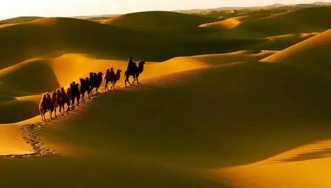 《天邊的駱駝》，震撼的沙漠風(fēng)景之美!