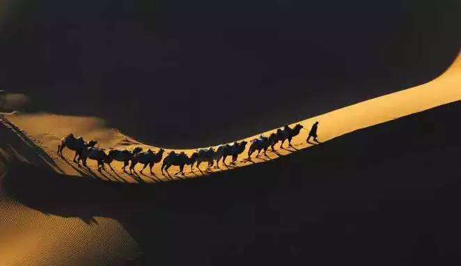 《天邊的駱駝》，震撼的沙漠風(fēng)景之美!