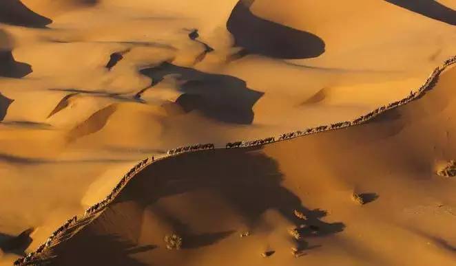 《天邊的駱駝》，震撼的沙漠風(fēng)景之美!