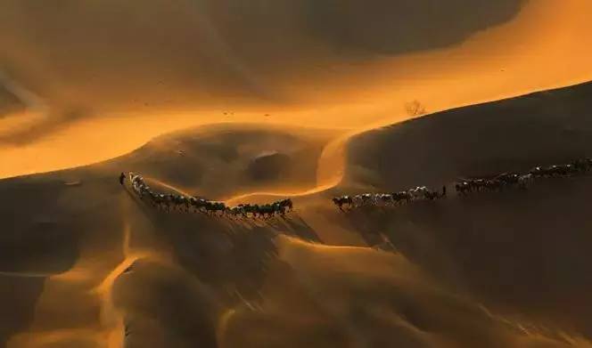 《天邊的駱駝》，震撼的沙漠風(fēng)景之美!