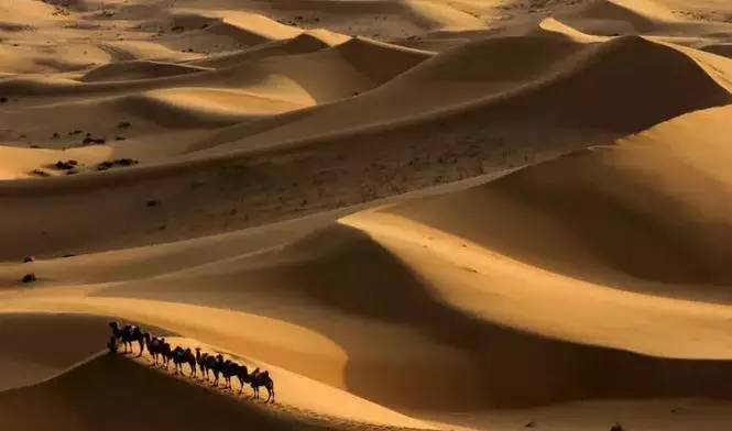 《天邊的駱駝》，震撼的沙漠風(fēng)景之美!