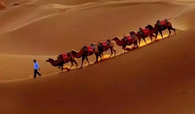 《天邊的駱駝》，震撼的沙漠風(fēng)景之美!