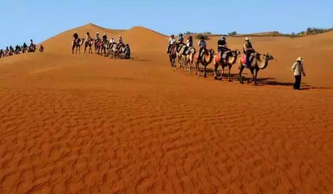 《天邊的駱駝》，震撼的沙漠風(fēng)景之美!