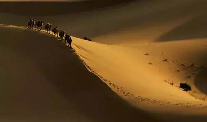 《天邊的駱駝》，震撼的沙漠風(fēng)景之美!