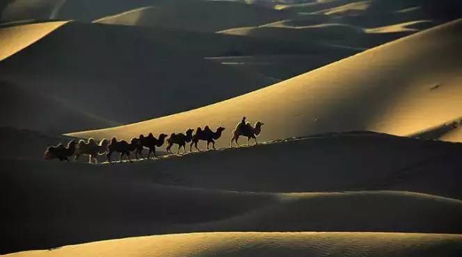 《天邊的駱駝》，震撼的沙漠風(fēng)景之美!
