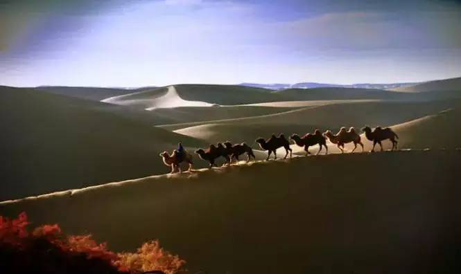 《天邊的駱駝》，震撼的沙漠風(fēng)景之美!