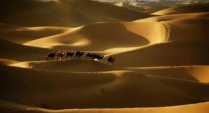 《天邊的駱駝》，震撼的沙漠風(fēng)景之美!