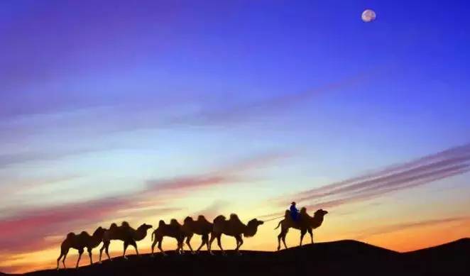 《天邊的駱駝》，震撼的沙漠風(fēng)景之美!