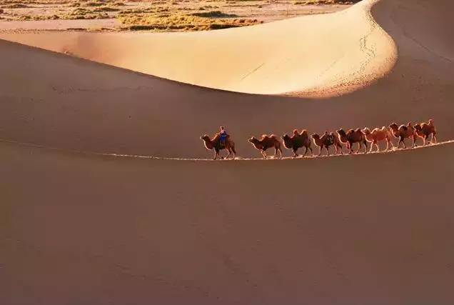 《天邊的駱駝》，震撼的沙漠風(fēng)景之美!