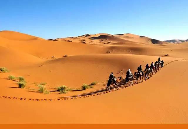 《天邊的駱駝》，震撼的沙漠風(fēng)景之美!