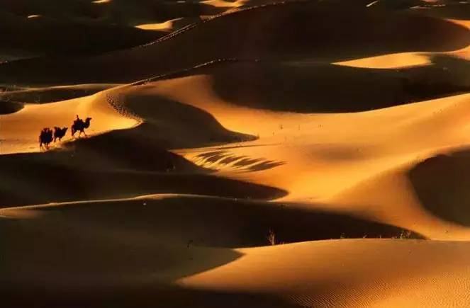 《天邊的駱駝》，震撼的沙漠風(fēng)景之美!