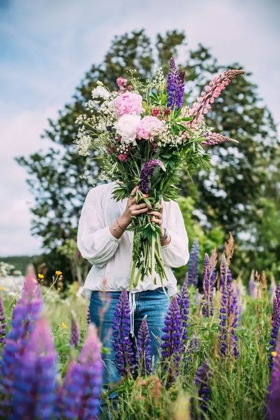 最美風景《魯冰花》，送給母親的花！