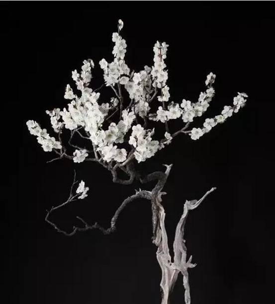 頂級(jí)盆景藝術(shù)，一種讓世人驚嘆的美！