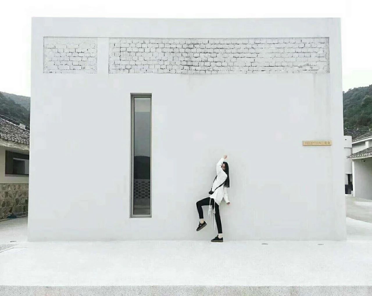 九熹·大樂之野，流水的大樂之野鐵打的小白墻