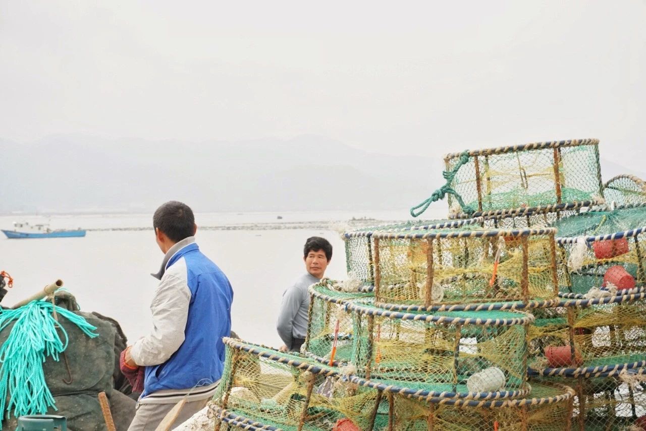 九熹·大樂之野，流水的大樂之野鐵打的小白墻