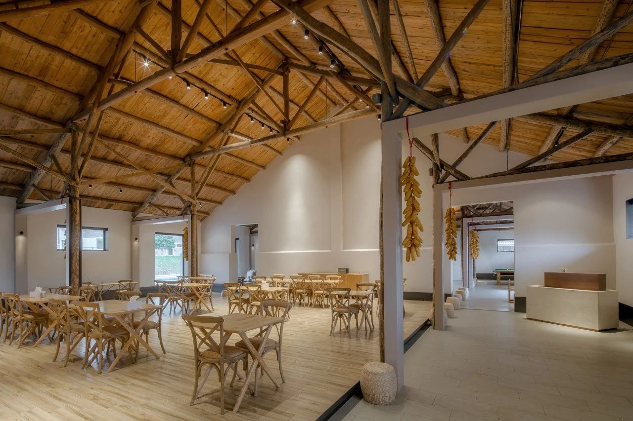 九熹·大樂之野，流水的大樂之野鐵打的小白墻