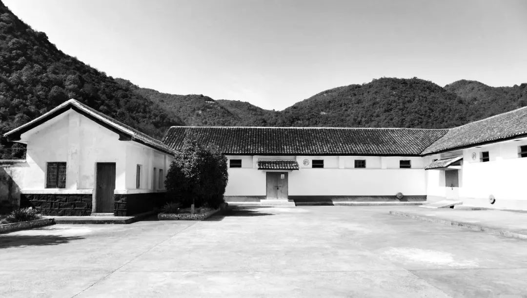 九熹·大樂(lè)之野，流水的大樂(lè)之野鐵打的小白墻