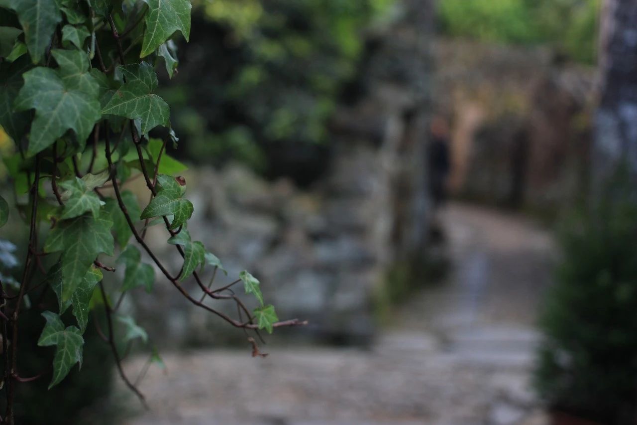 九熹·大樂之野，流水的大樂之野鐵打的小白墻