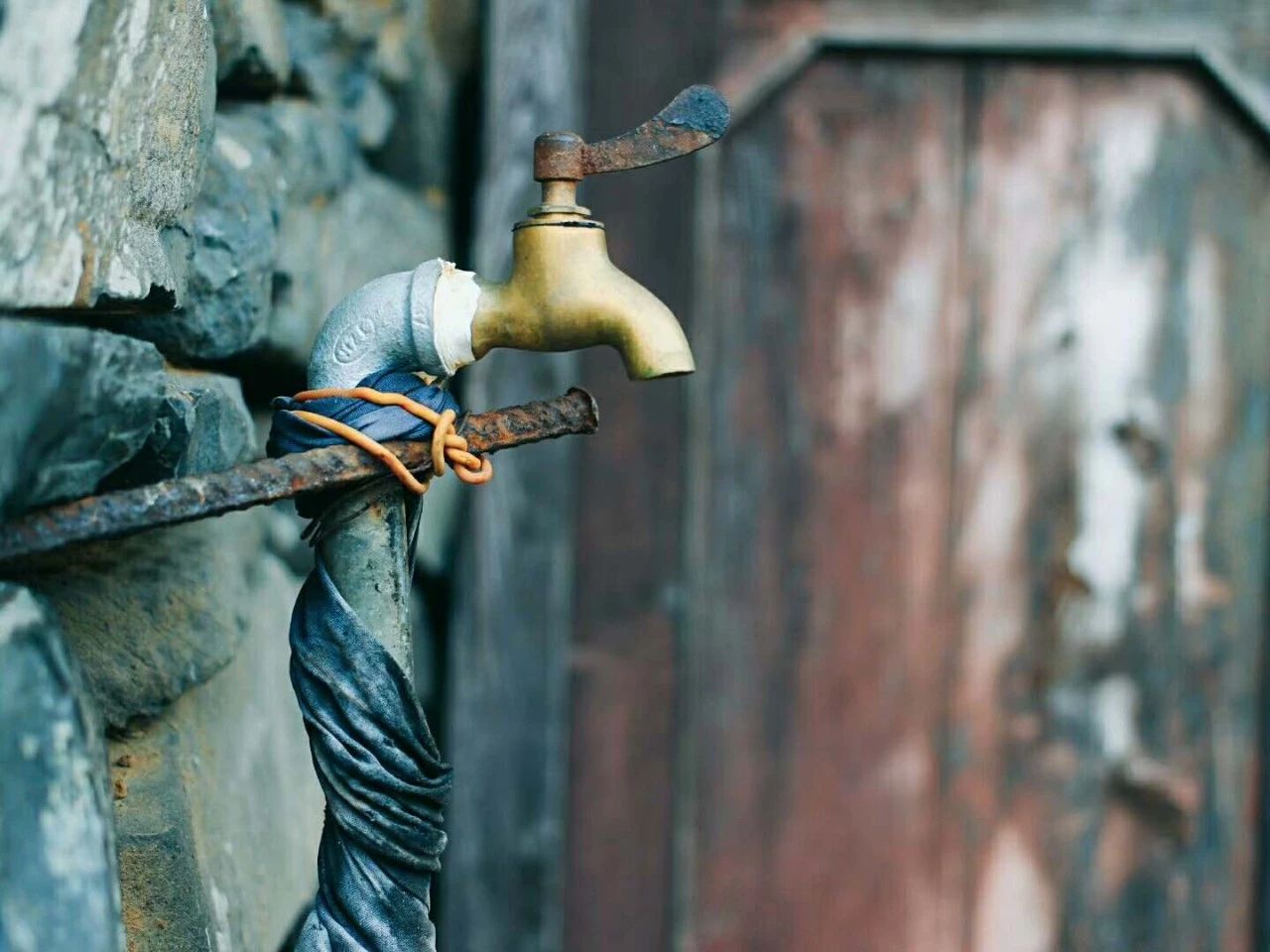 九熹·大樂之野，流水的大樂之野鐵打的小白墻