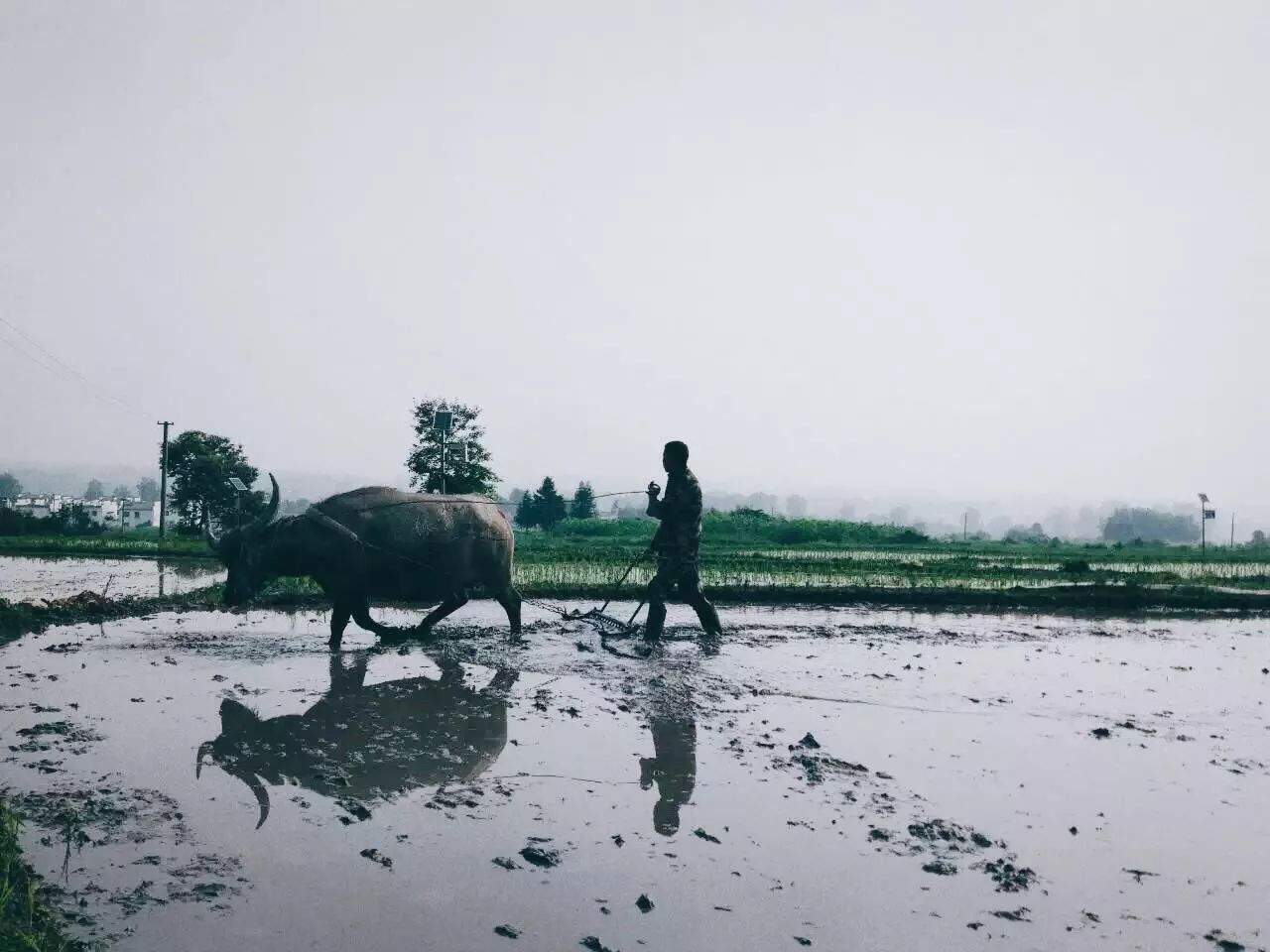 黃山·東田別野，日出而作日落而息的時(shí)光野