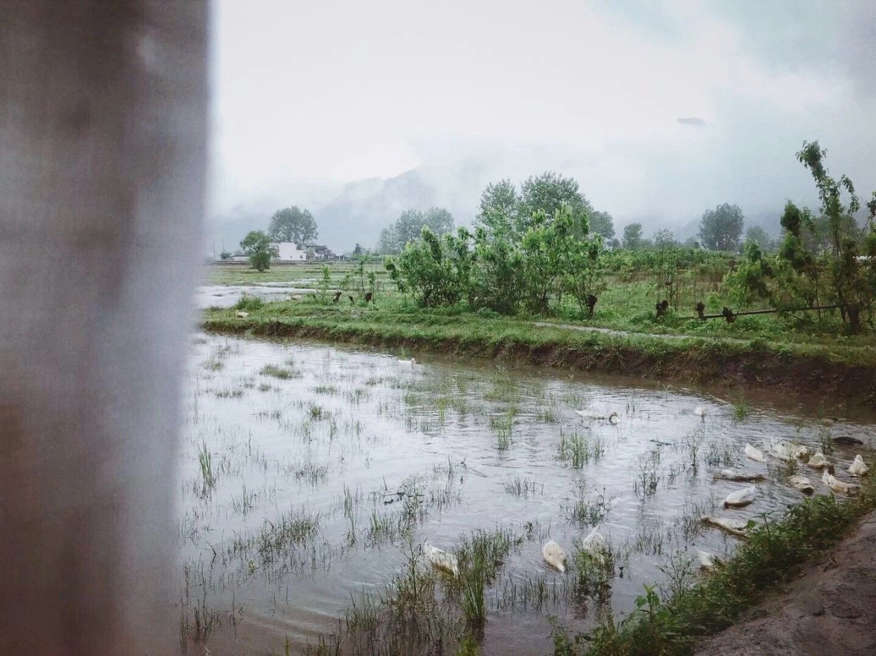 黃山·東田別野，日出而作日落而息的時(shí)光野