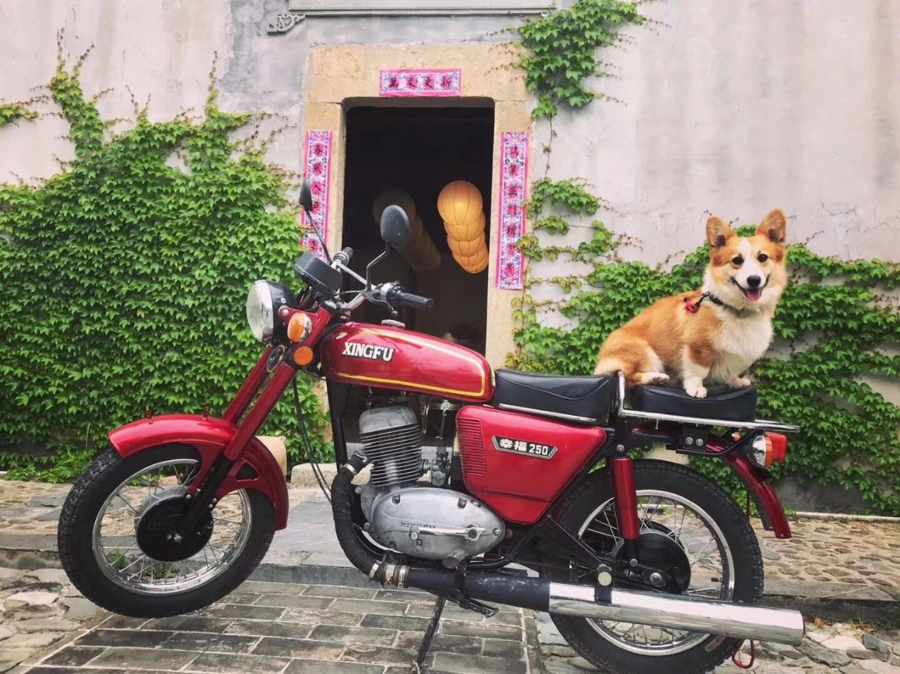 黃山·東田別野，日出而作日落而息的時光野