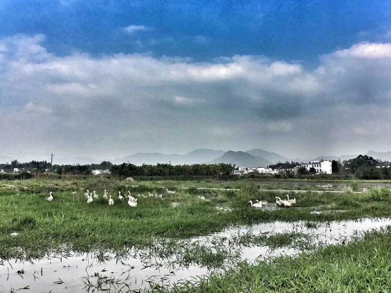 黃山·東田別野，日出而作日落而息的時(shí)光野
