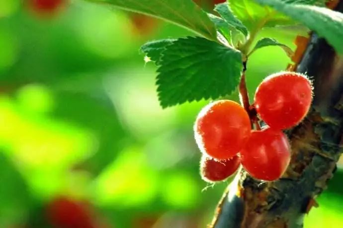 小滿節(jié)氣，人生小滿