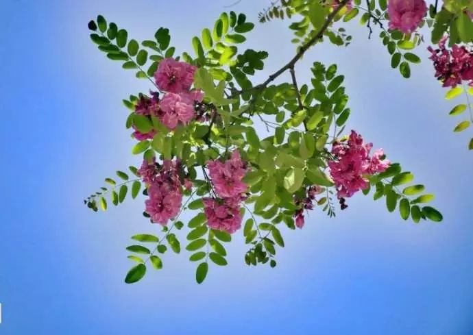 小滿節(jié)氣，人生小滿