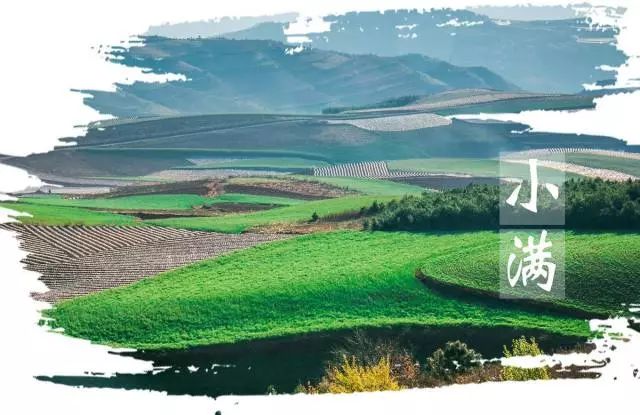 小滿節(jié)氣，人生小滿