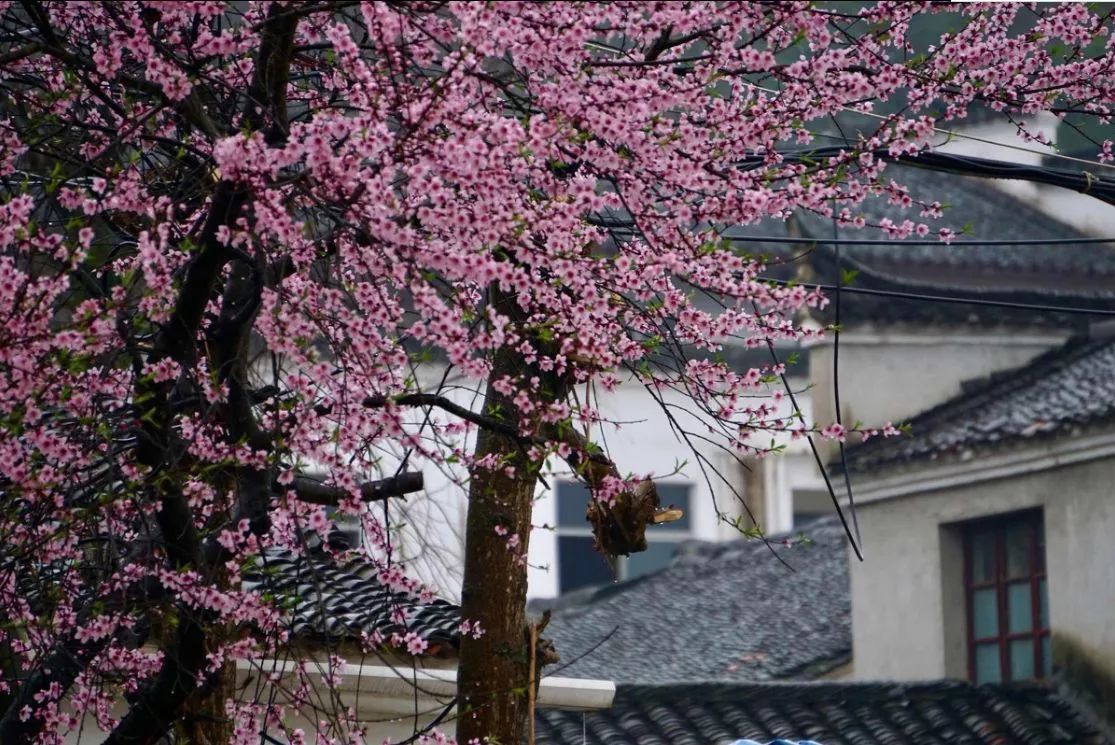 古鎮(zhèn)情懷：30個(gè)古鎮(zhèn)愿有人與你一起踏足！