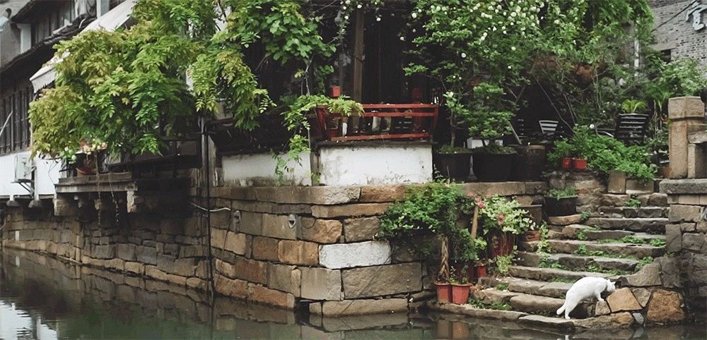 蘇州·蘇舍，在平江路享受蘇州的慢與蘇