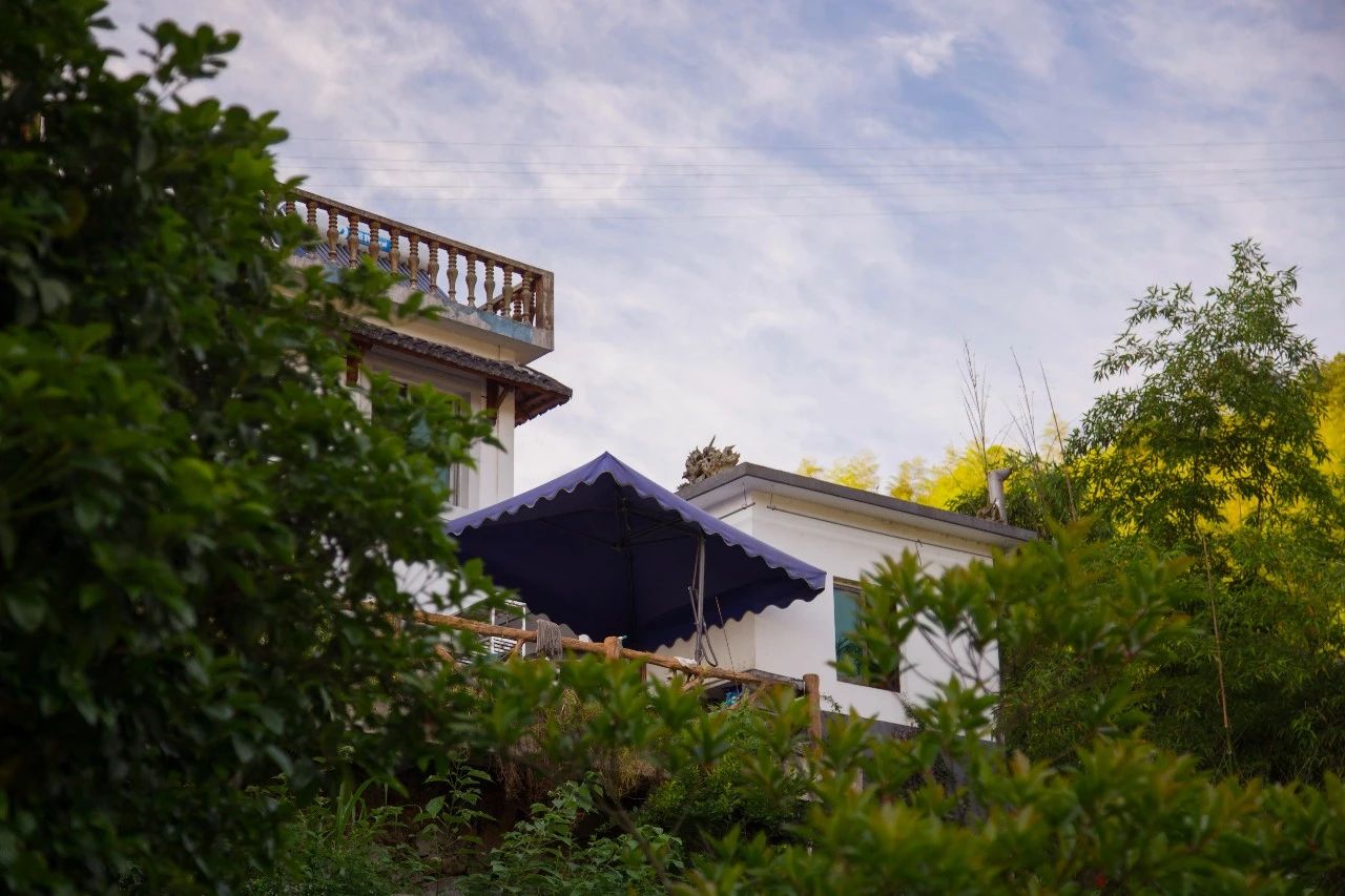 點(diǎn)叁民宿，千島湖坐船賞景豈不詩意？