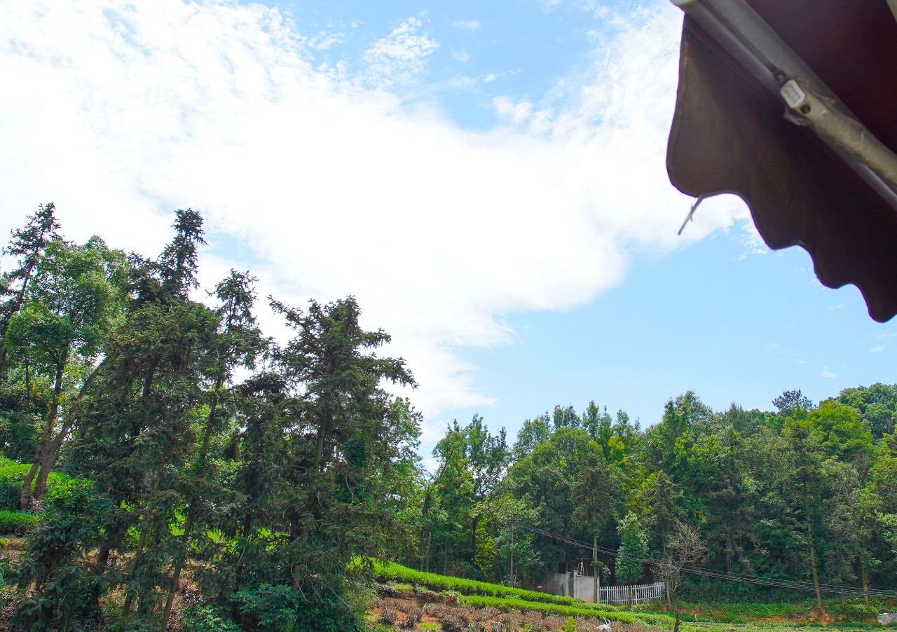 點(diǎn)叁民宿，千島湖坐船賞景豈不詩意？