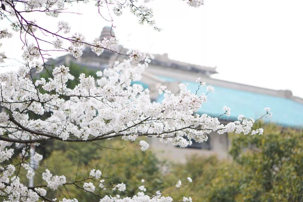 遇見中國(guó)最美的風(fēng)景，30個(gè)景色宜人的地方！