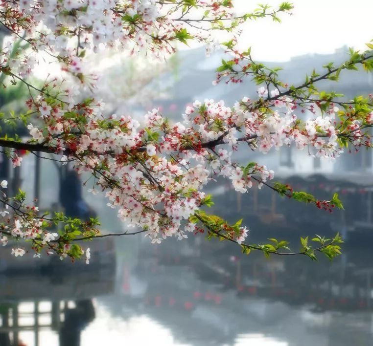 遇見中國最美的風(fēng)景，30個景色宜人的地方！