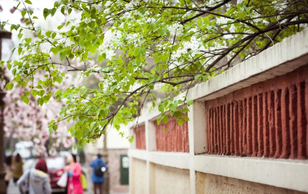 遇見中國最美的風景，30個景色宜人的地方！