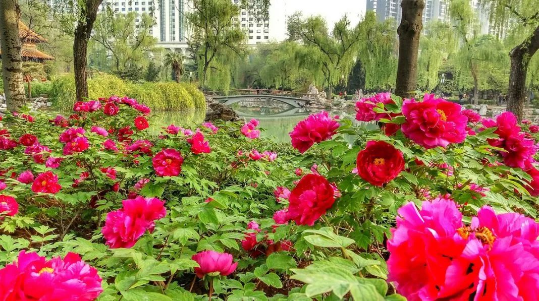 遇見中國最美的風景，30個景色宜人的地方！