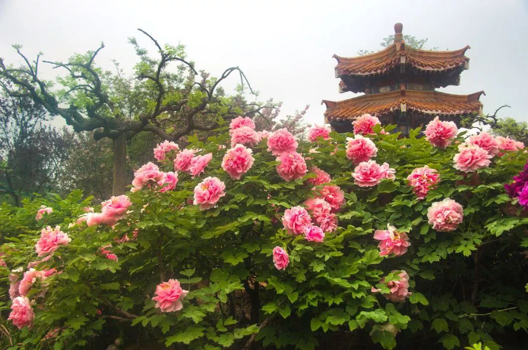 遇見中國最美的風景，30個景色宜人的地方！