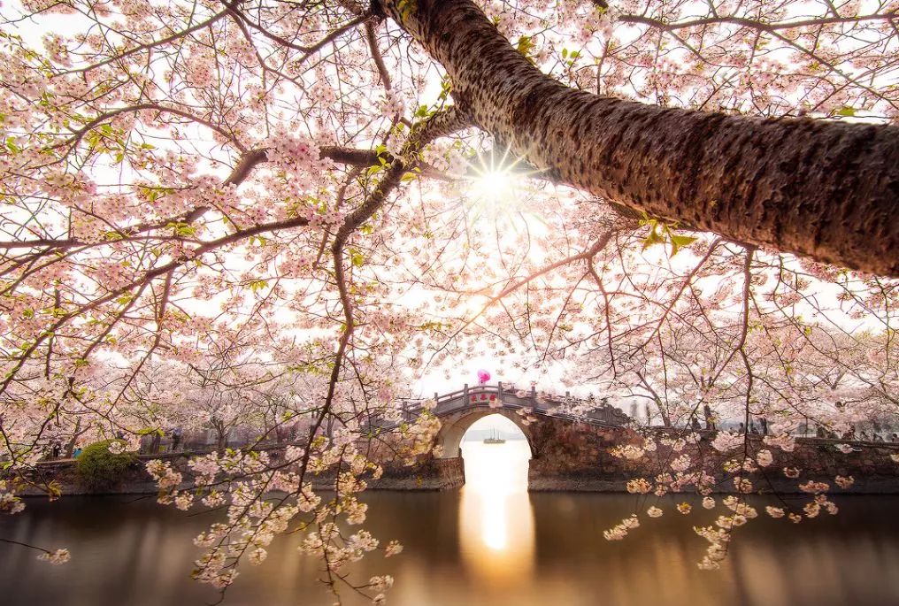 遇見(jiàn)中國(guó)最美的風(fēng)景，30個(gè)景色宜人的地方！