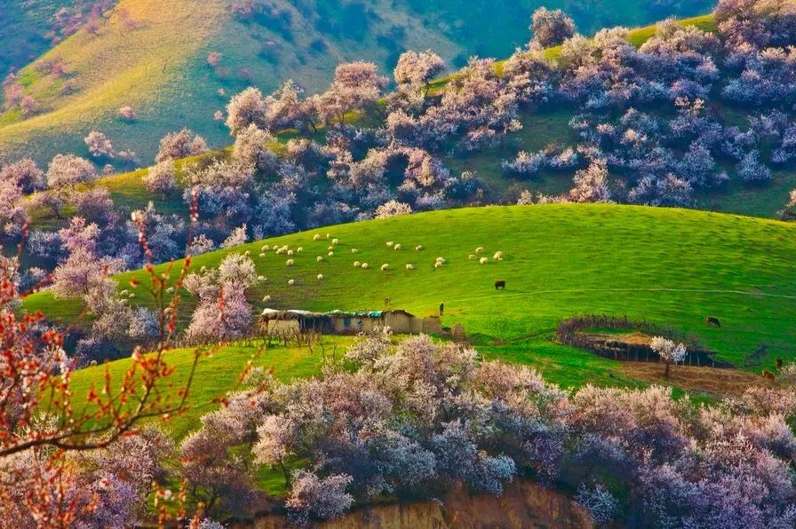 遇見(jiàn)中國(guó)最美的風(fēng)景，30個(gè)景色宜人的地方！