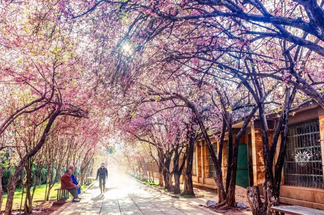 遇見中國最美的風景，30個景色宜人的地方！