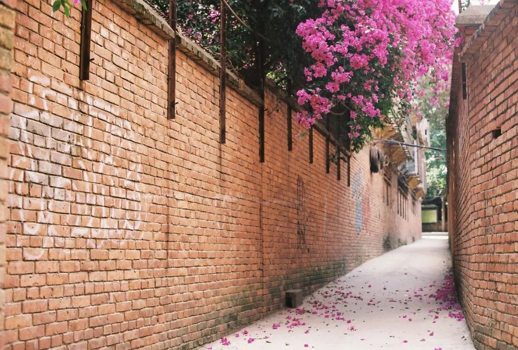 遇見中國最美的風景，30個景色宜人的地方！