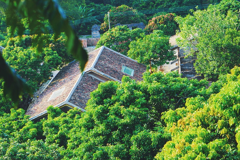 廣州·菁木山舍，有個(gè)木屋開滿鮮花看花開花落