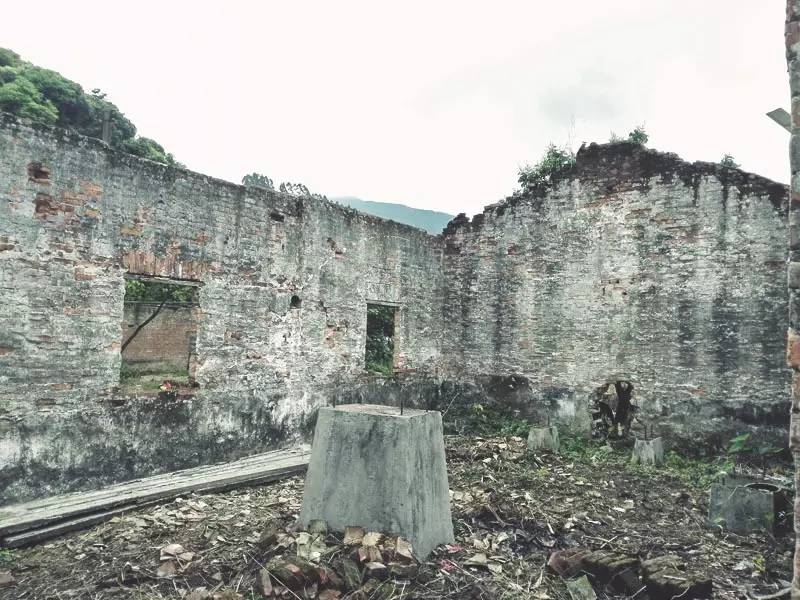 廣州·菁木山舍，有個(gè)木屋開滿鮮花看花開花落