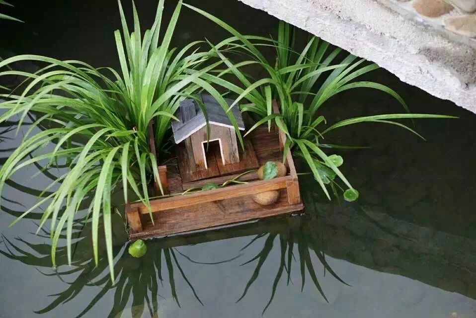 廣州·菁木山舍，有個(gè)木屋開滿鮮花看花開花落